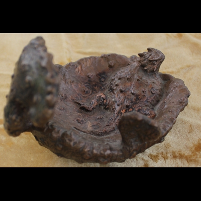 Gorham Copper Southwestern Horned Lizard Horny Toad Cactus Sculpture